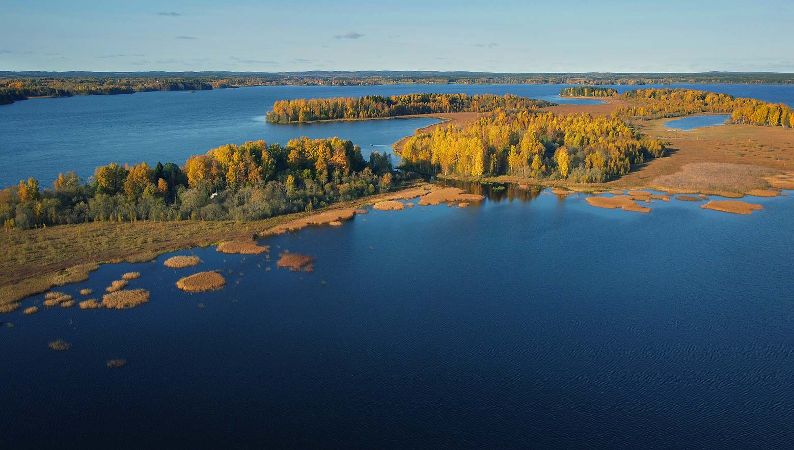 Sweden Autumn3